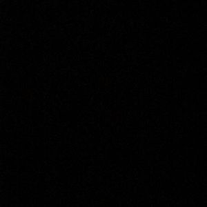 Meet your Posher, Latasha